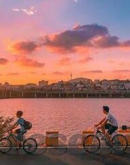 老板足球比分-老板足球比分，职场与绿茵场的激情交响