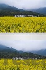 足球比分3比3-足球场上的奇迹，3比3背后的热血与激情