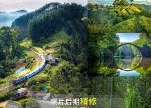 足球比分滚球直播-足球比分滚球直播，一场速度与激情的实时博弈